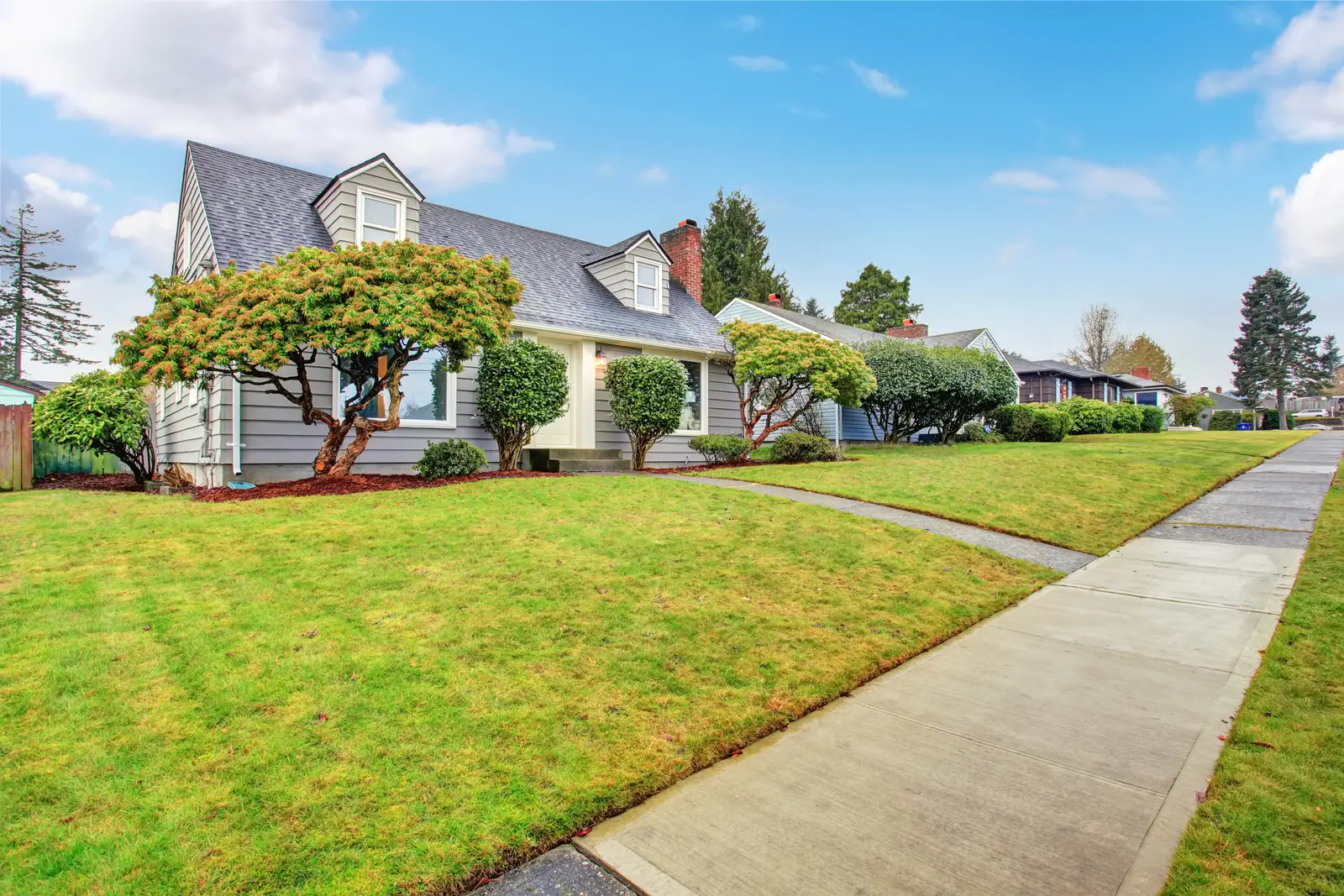 Houses with a beautiful yard which use low-maintenance landscaping