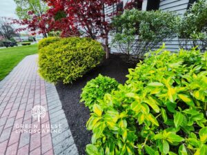 Landscaping in Canton MA