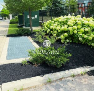 Commercial Landscaping Boston MA