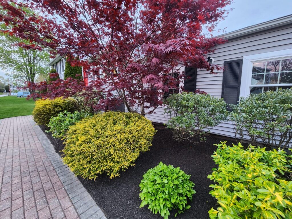 Landscaping in Canton MA