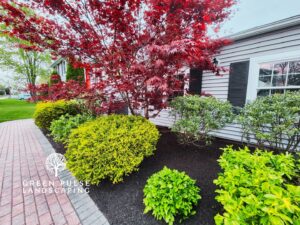 Landscaping in Canton MA