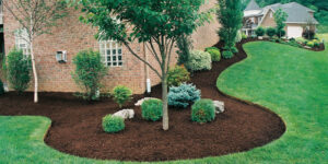 importance using mulch