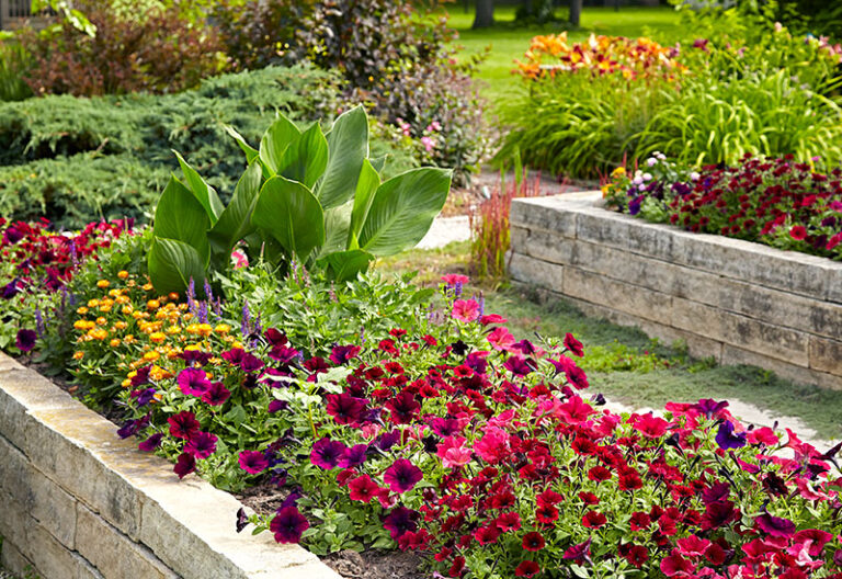 Flowers bed Massachusetts