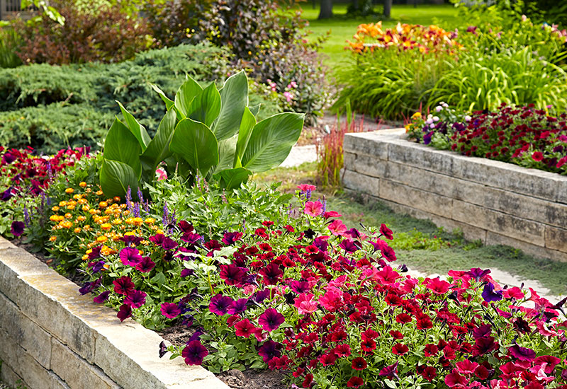 Flowers bed Massachusetts