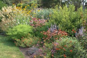 Native Plantas - Landscaping Companies