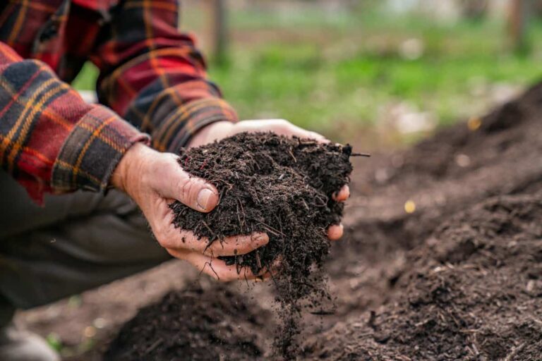 Composting - Landscaping Company