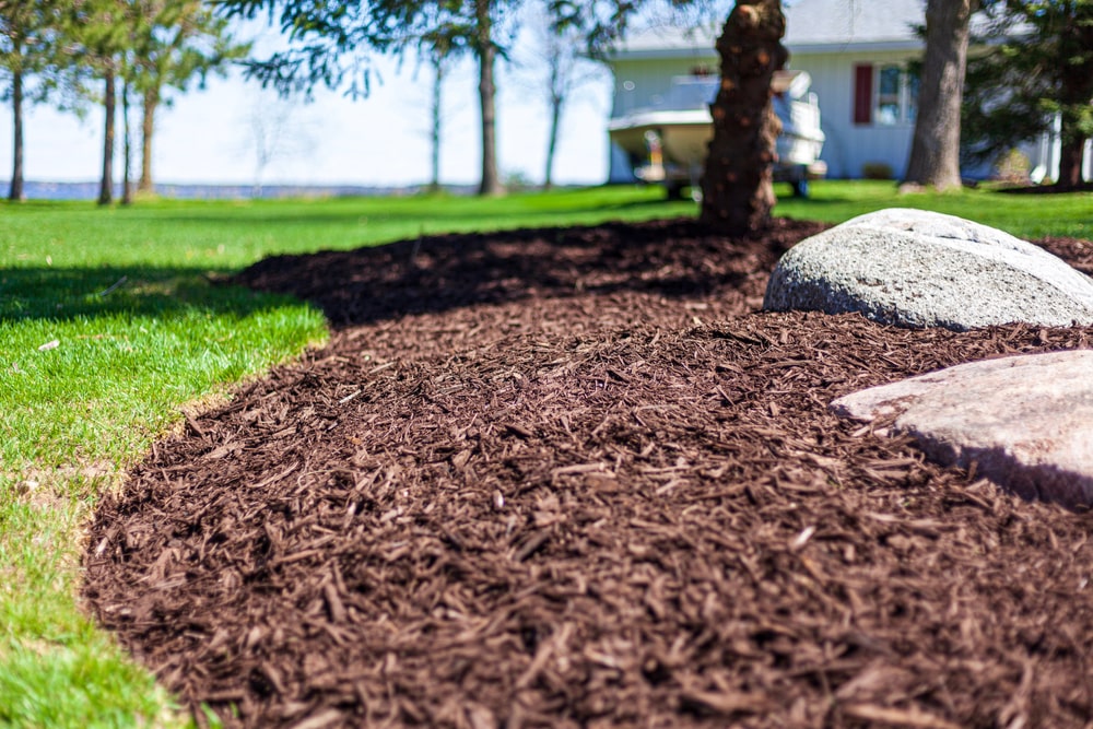 importance using mulch