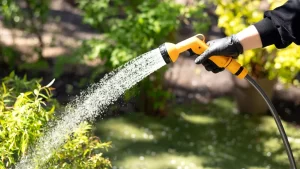 watering plants massachusetts