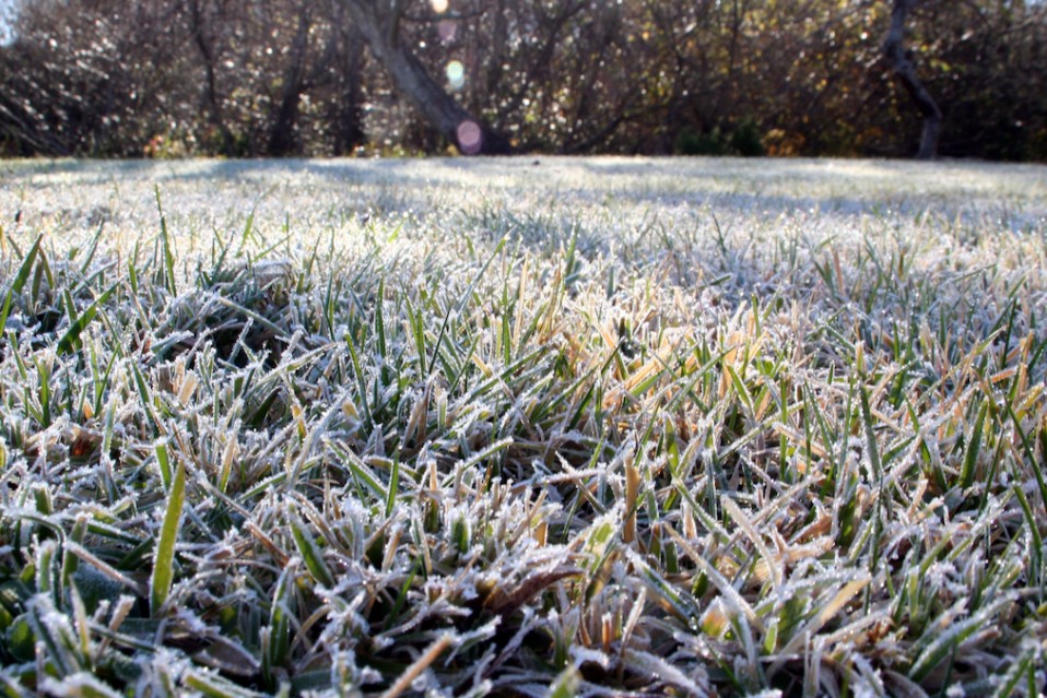 Preparing Your Landscape for Winter Massachusetts