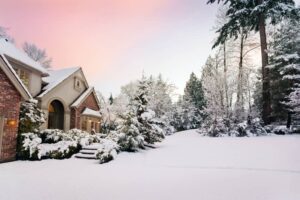 How to Protect Your Plants in Massachusetts Winter