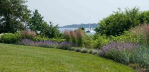 sustainable landscaping massachusetts