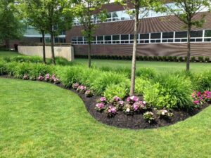 commercial landscaping